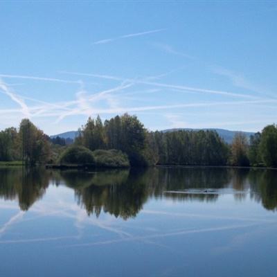 爱游戏·综合APP